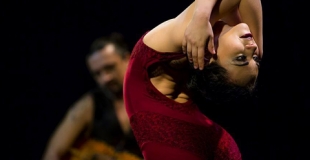 Contorsionniste dans la tradition du Cirque de Pékin - Elodie Chan